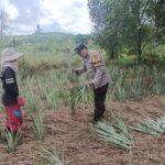 WhatsApp Image 2024 11 03 at 12.17.47