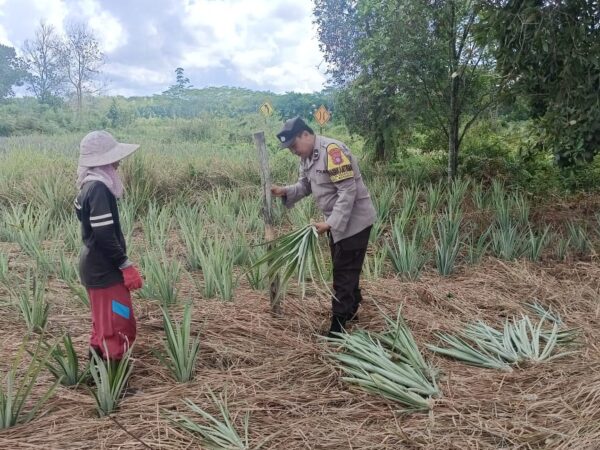 WhatsApp Image 2024 11 03 at 12.17.47