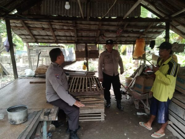 WhatsApp Image 2025 01 11 at 10.12.34