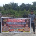 WhatsApp Image 2025 11 24 at 11.59.07 (1)