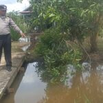 WhatsApp Image 2025 11 24 at 13.09.18 (1)