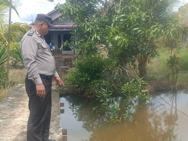 WhatsApp Image 2025 11 24 at 13.09.19