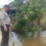 WhatsApp Image 2025 11 24 at 13.09.19