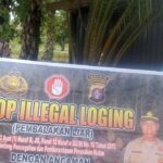 WhatsApp Image 2025 11 24 at 13.31.25 (1)