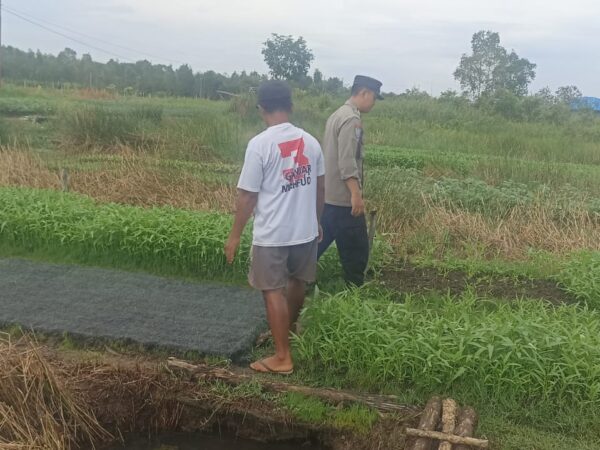 WhatsApp Image 2025 11 26 at 09.59.02