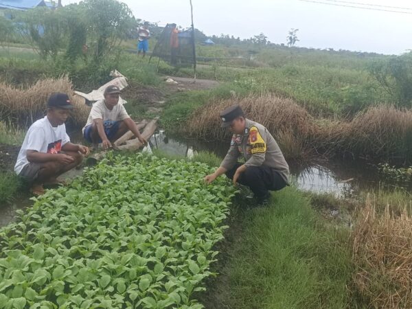 WhatsApp Image 2025 11 26 at 09.59.03 (1)