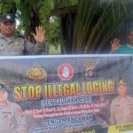 WhatsApp Image 2025 11 30 at 11.31.38