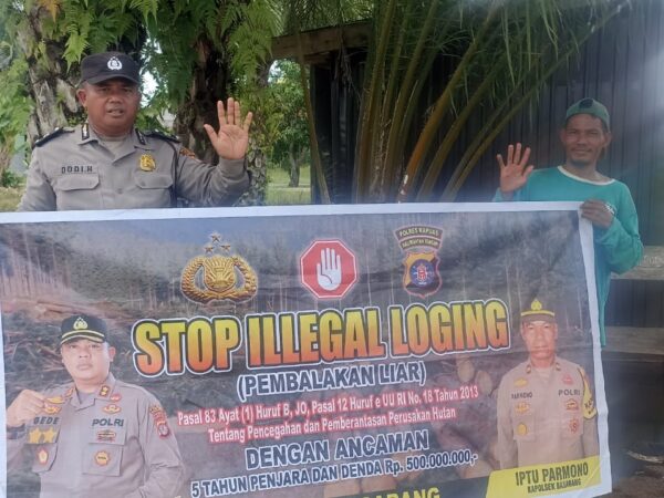 WhatsApp Image 2025 11 30 at 11.31.38