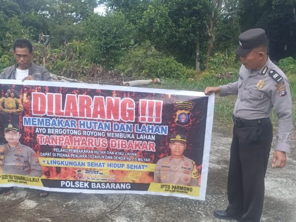 WhatsApp Image 2025 12 03 at 11.08.54