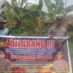 WhatsApp Image 2025 12 06 at 11.13.48