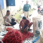 WhatsApp Image 2026 01 07 at 10.32.05 (1)