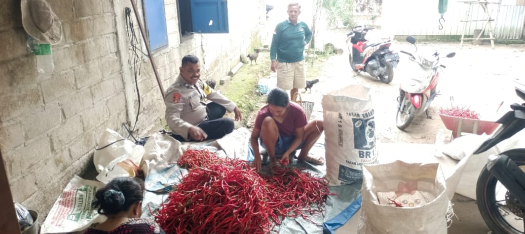 WhatsApp Image 2026 01 07 at 10.32.05 (1)