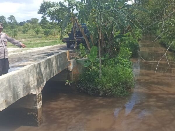 WhatsApp Image 2026 01 11 at 13.56.04