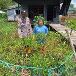 WhatsApp Image 2026 01 12 at 13.25.36