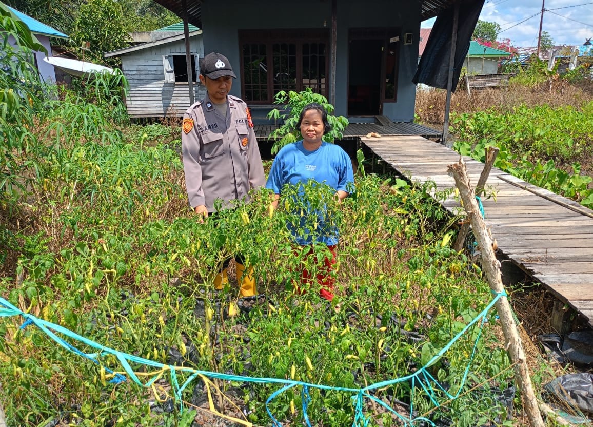 WhatsApp Image 2026 01 12 at 13.25.36