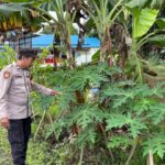 WhatsApp Image 2026 01 13 at 08.01.58