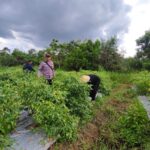 WhatsApp Image 2026 01 14 at 10.01.04