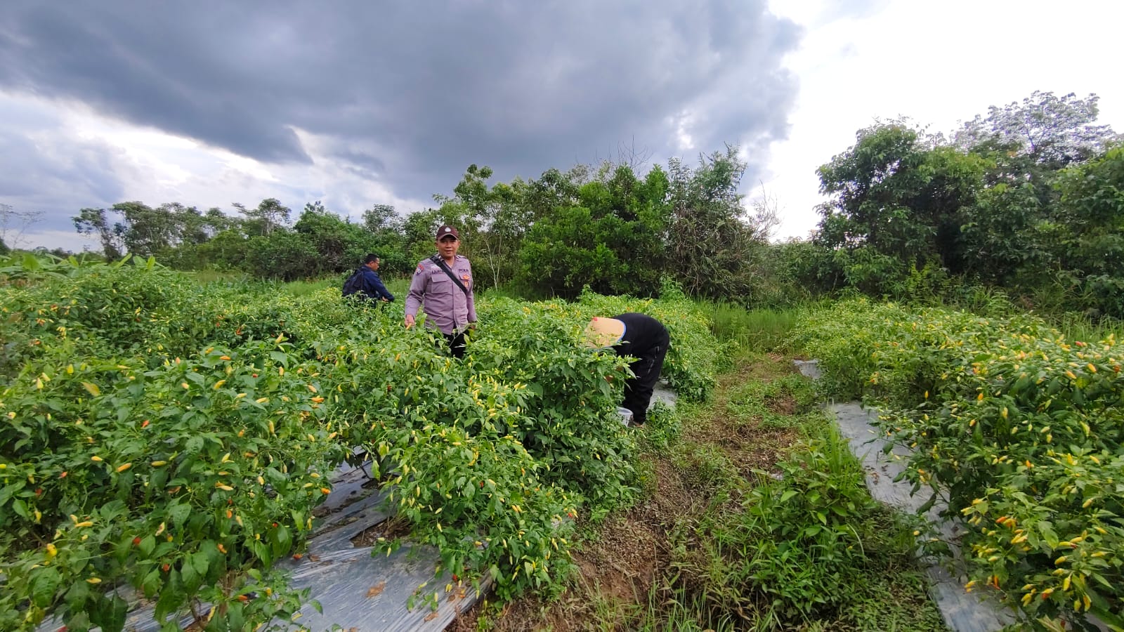 WhatsApp Image 2026 01 14 at 10.01.04