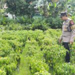 WhatsApp Image 2026 01 16 at 08.40.49