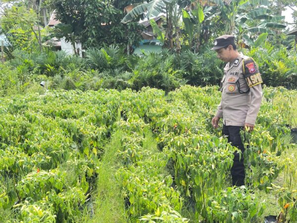 WhatsApp Image 2026 01 16 at 08.40.49