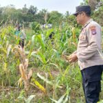 WhatsApp Image 2026 01 16 at 23.46.37