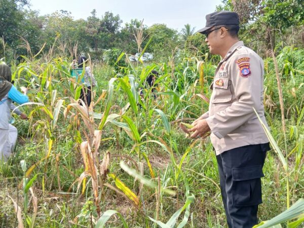 WhatsApp Image 2026 01 16 at 23.46.37