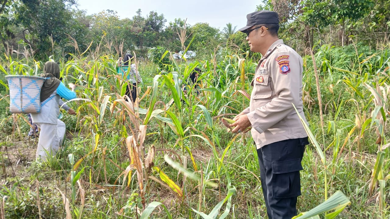 WhatsApp Image 2026 01 16 at 23.46.37