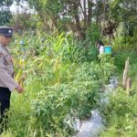 WhatsApp Image 2026 01 17 at 10.57.12