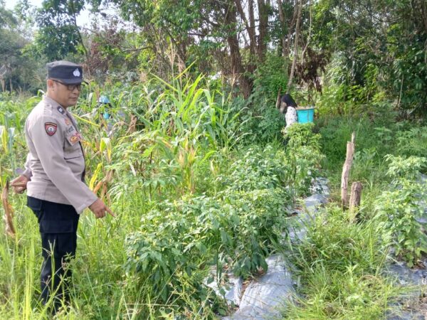 WhatsApp Image 2026 01 17 at 10.57.12