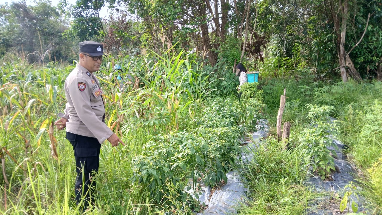 WhatsApp Image 2026 01 17 at 10.57.12