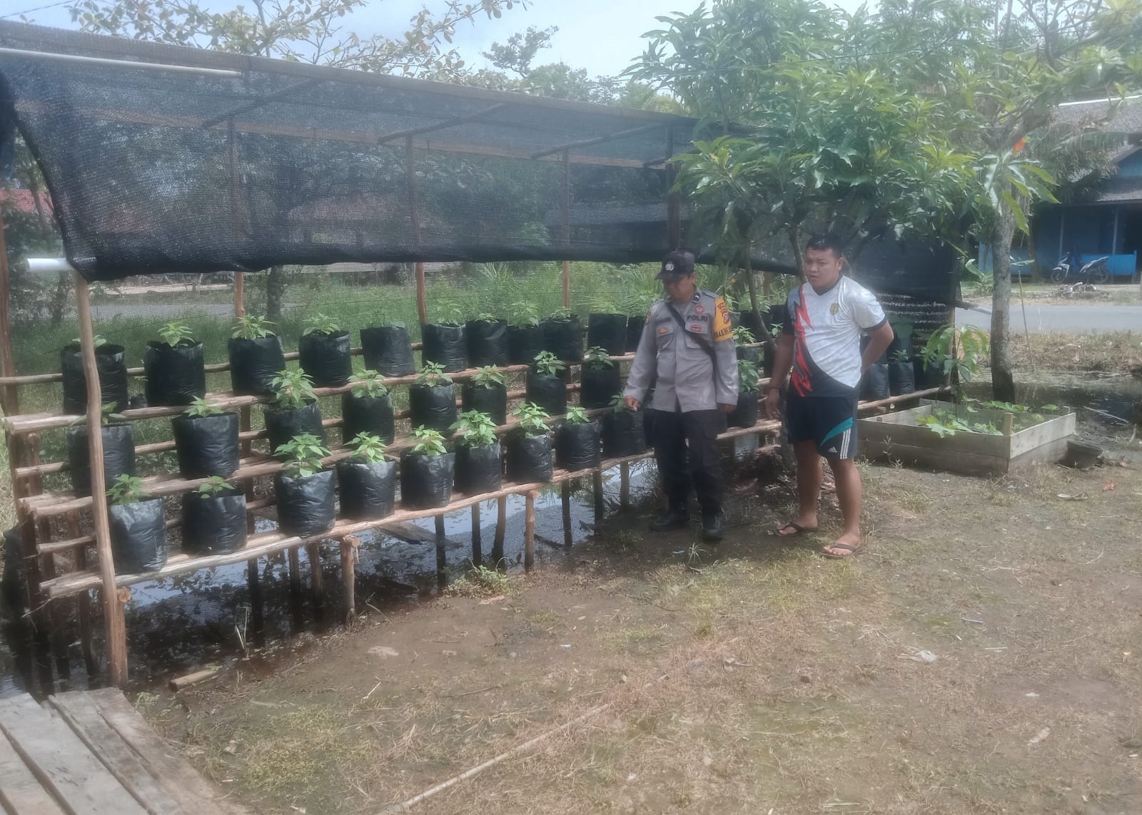 WhatsApp Image 2026 01 18 at 12.46.44