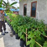 WhatsApp Image 2026 01 20 at 09.23.51