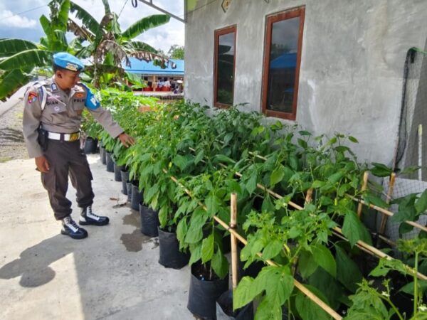 WhatsApp Image 2026 01 20 at 09.23.51