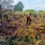 WhatsApp Image 2026 01 20 at 09.36.07