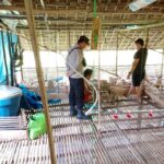 WhatsApp Image 2026 01 21 at 10.04.53