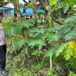 WhatsApp Image 2026 01 22 at 09.26.08