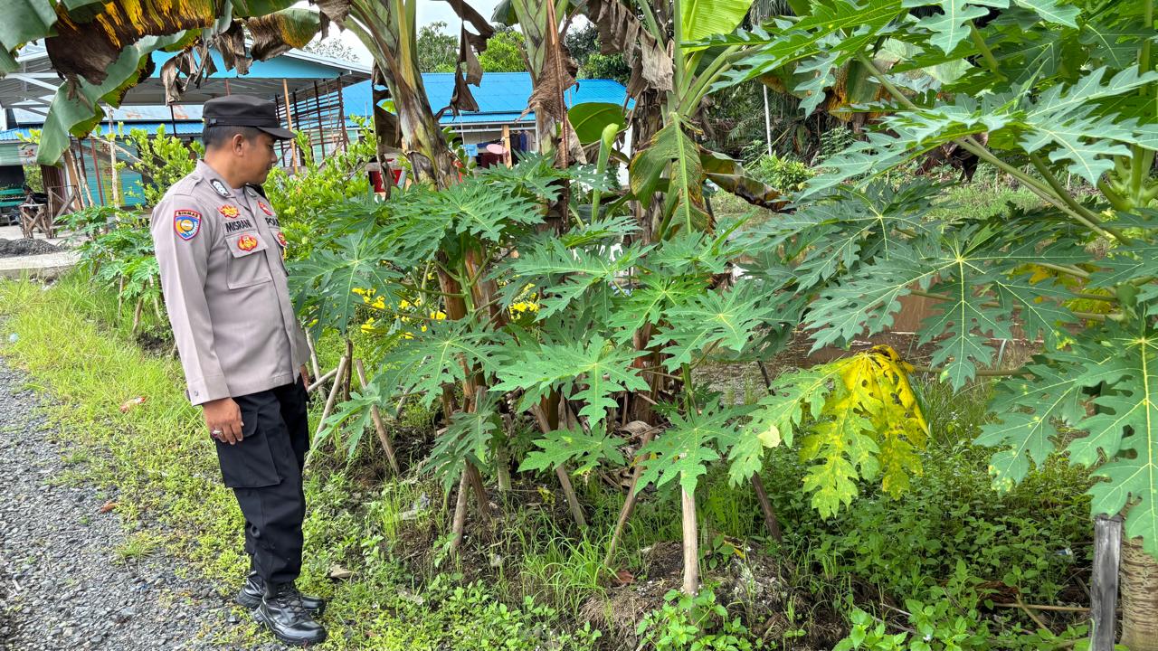 WhatsApp Image 2026 01 22 at 09.26.08