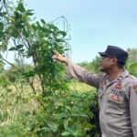 WhatsApp Image 2026 01 23 at 09.57.09