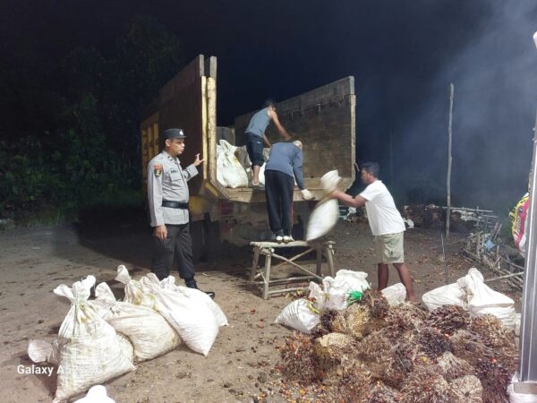 WhatsApp Image 2026 01 24 at 21.23.47