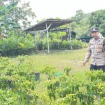 WhatsApp Image 2026 01 25 at 10.18.10