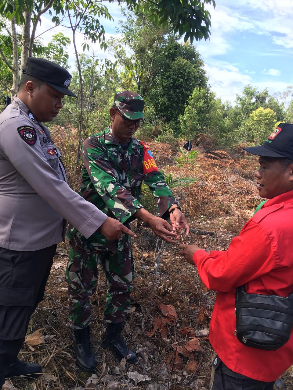 WhatsApp Image 2026 01 25 at 18.43.23