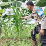 WhatsApp Image 2026 01 26 at 09.20.49