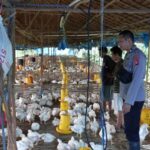 WhatsApp Image 2026 01 27 at 08.41.15