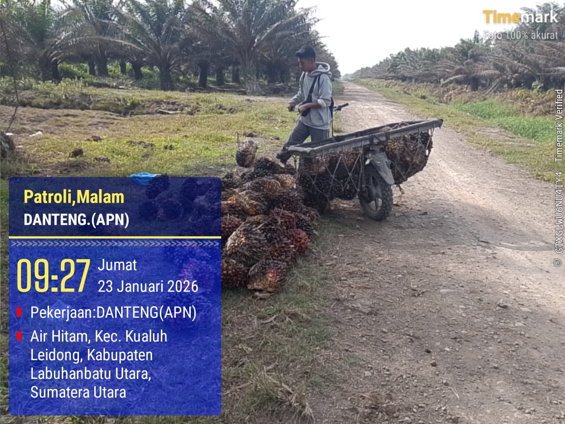 WhatsApp Image 2026 01 27 at 12.42.15