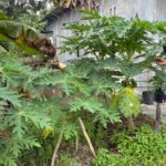 WhatsApp Image 2026 01 28 at 10.55.14