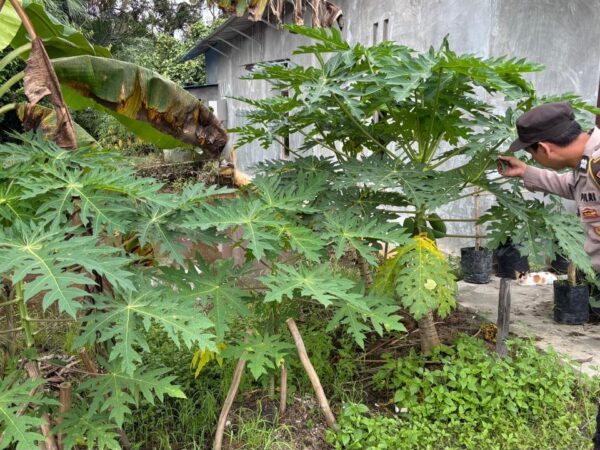 WhatsApp Image 2026 01 28 at 10.55.14