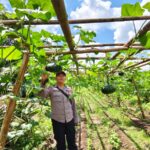 WhatsApp Image 2026 01 29 at 09.16.29