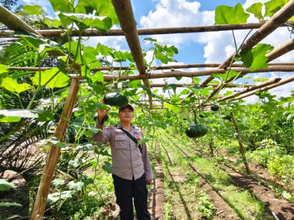 WhatsApp Image 2026 01 29 at 09.16.29