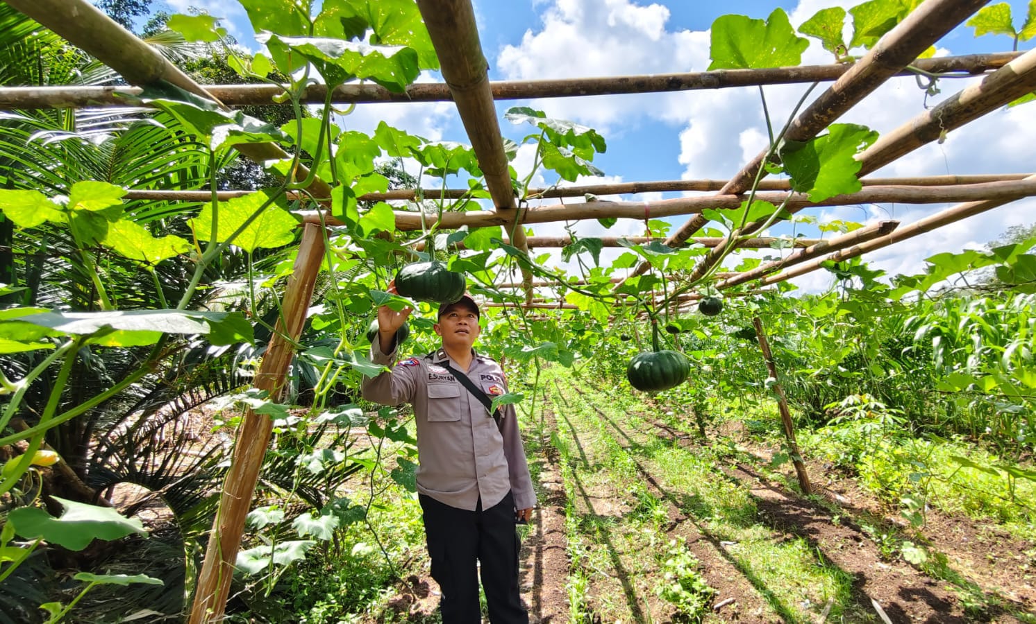 WhatsApp Image 2026 01 29 at 09.16.29