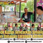 WhatsApp Image 2026 01 29 at 12.52.48